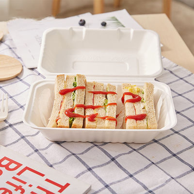 Takeaway Bagasse Lunch Box Sugarcane Disposable Containers 600ml