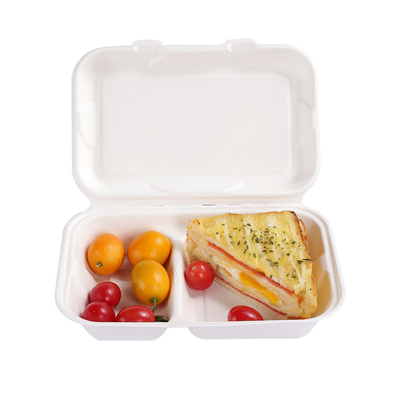 Food Packaging Sugarcane Bagasse Lunch Box Containers For Salad