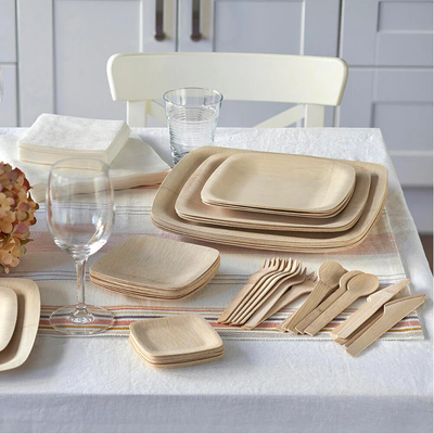 7 Inch Disposable Compostable Bamboo Plate With The Shape Of Square For Hotel
