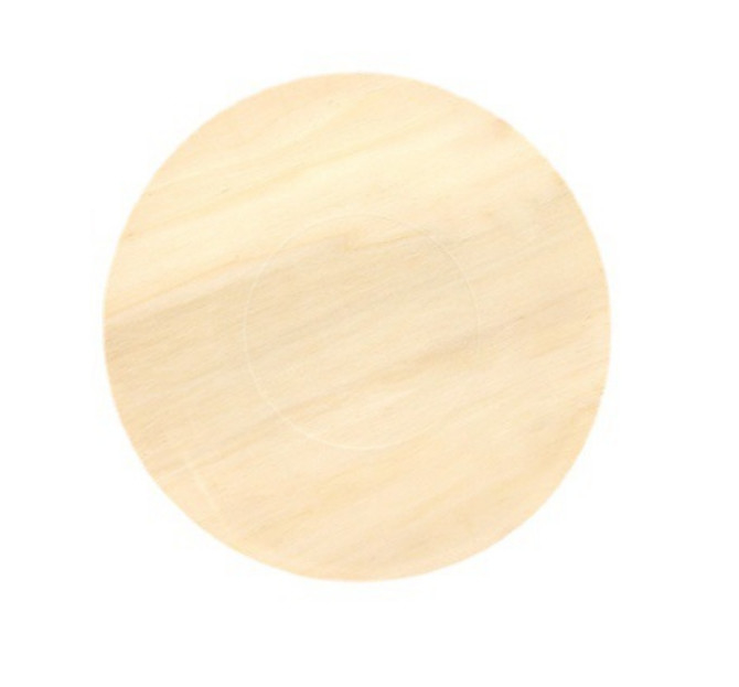 Wooden Bio Disposable Plates Recyclable Party Plates For Camping 165x15mm